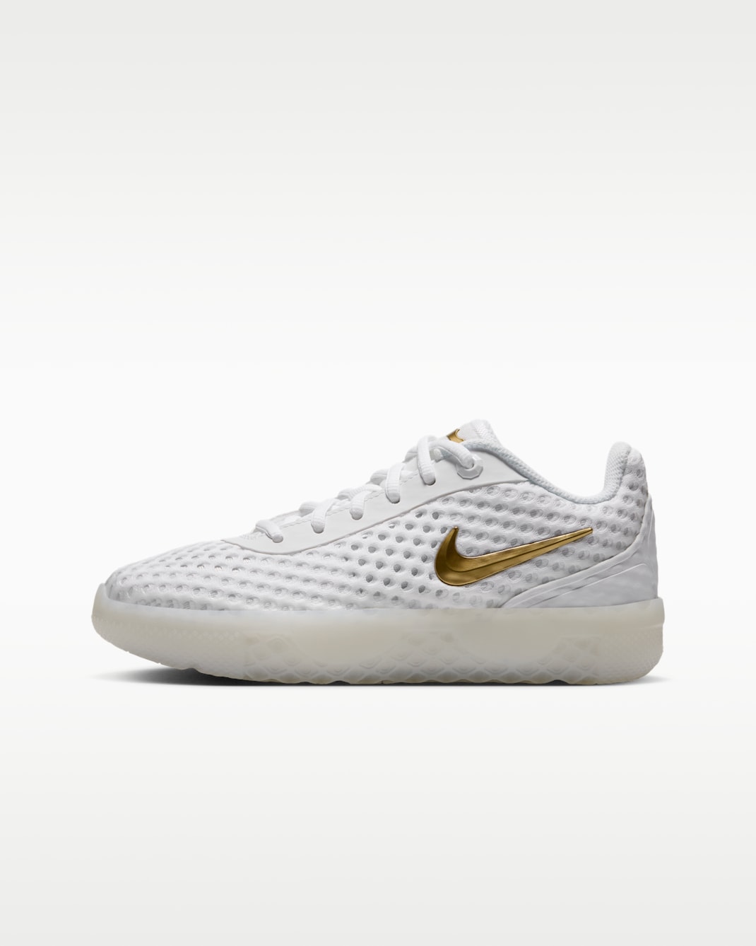 LeBron Witness X