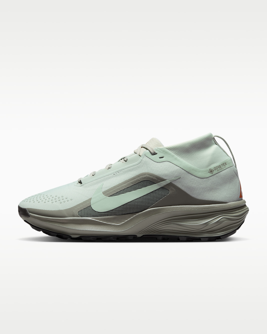 ACG Pegasus Trail GORE-TEX