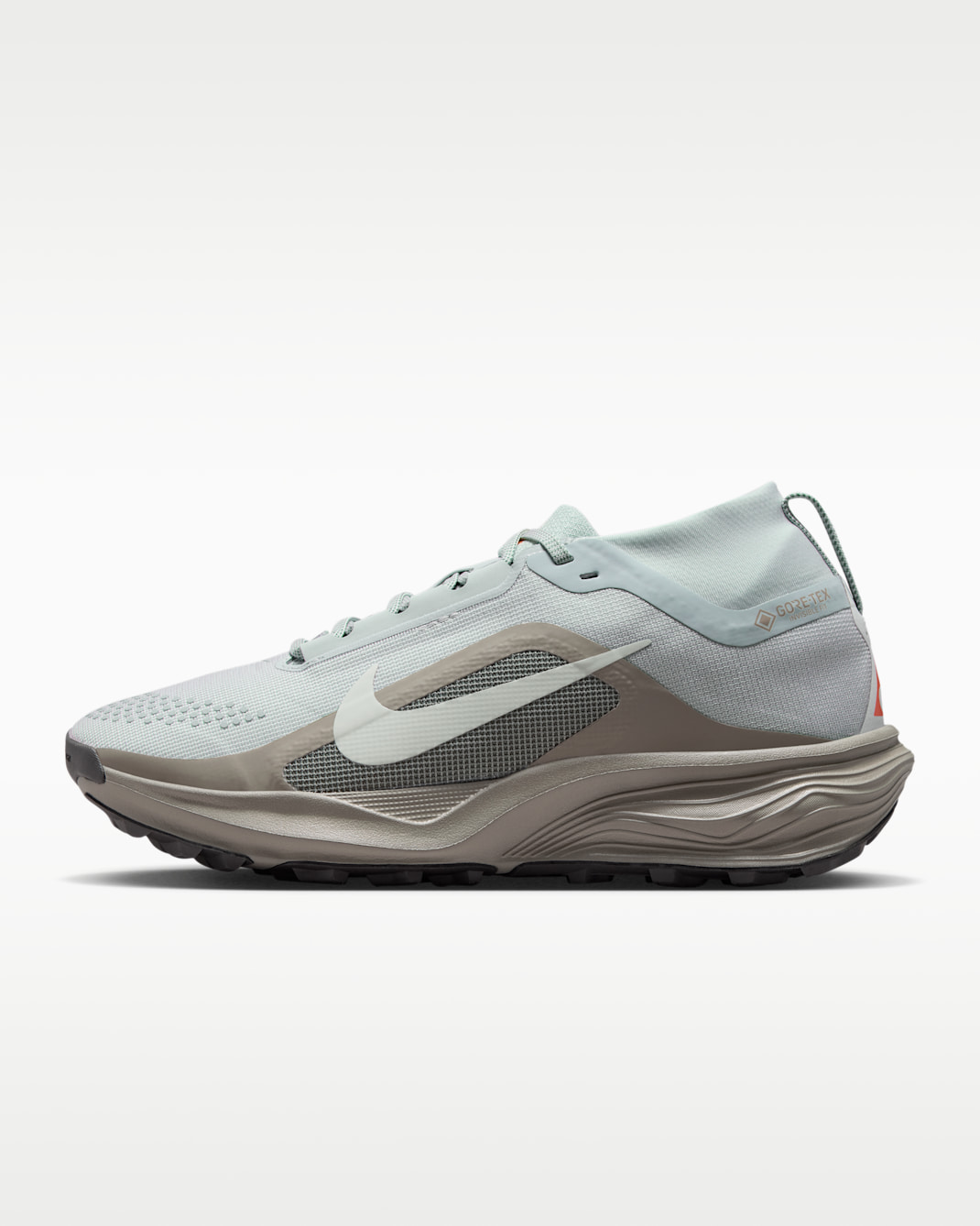 ACG Pegasus Trail GORE-TEX