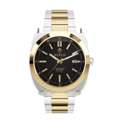 Berlo Uprise